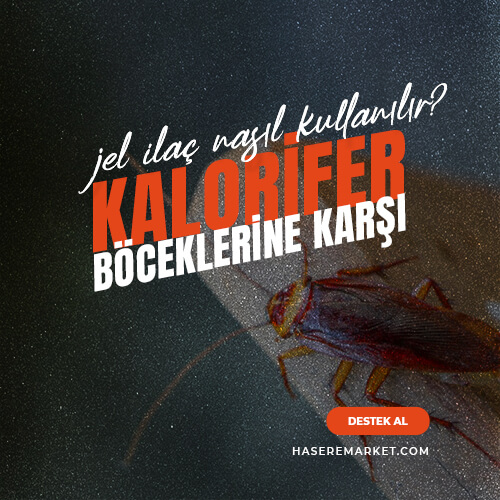Kalorifer böceği jel ilacı nasıl kullanılır? | Kalorifer böceğini hangi ilaç yok eder?