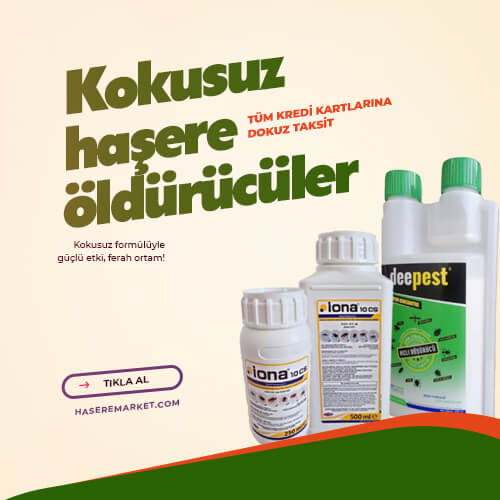 Evde Pire İlaçlaması Nasıl Yapılmalıdır? | Kokusuz Pire Ilaçlarını Kullanırken Nelere Dikkat Etmeliyiz?