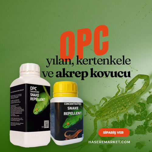 Yılan ilacı Sıvı Kükürt | Yılan gelmemesi için ilaç | En etkili Yılan ilacı | Yılan için ilaçlama yapılır mı? | Yılanın gelmemesi için ne yapmalı? |