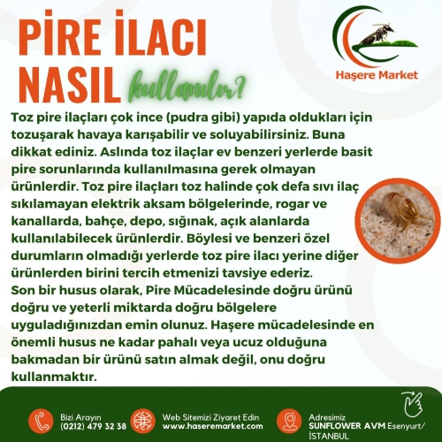 Pire Ilaçları Nelerdir? | Evde Pire Neden Olur? | Pire Ilacı Seçerken Nelere Dikkat Etmeliyiz? |