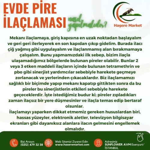 Evde Pire İlaçlaması Nasıl Yapılmalıdır? | Kokusuz Pire Ilaçlarını Kullanırken Nelere Dikkat Etmeliyiz?