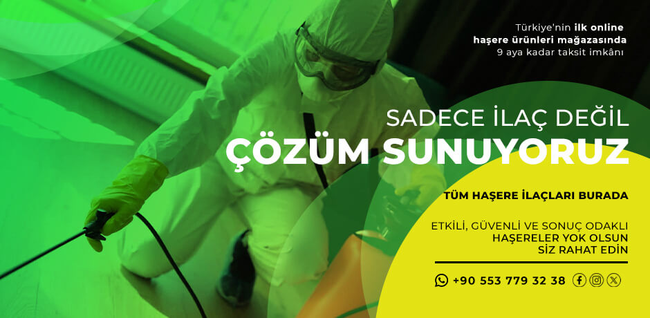 Evde Tahtakurusu Nasıl Yok Edilir?