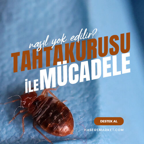 Şantiye ve Yatakhanelerde Tahtakurusu ile Sürekli Mücadele | Şantiye Koğuşlarında Tahtakurusu Sorununu Çözme Yöntemleri | Şantiye Koğuşları ve Yatakhanelerde Tahtakurusu Neden Olur?