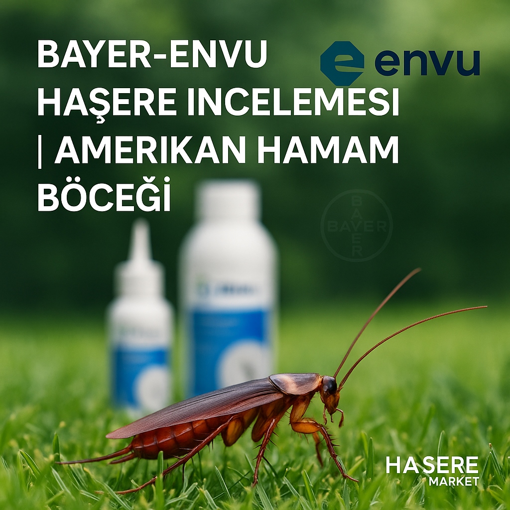 Bayer-Envu Haşere İlaçları | Amerikan Hamam Böceği | Hakkında