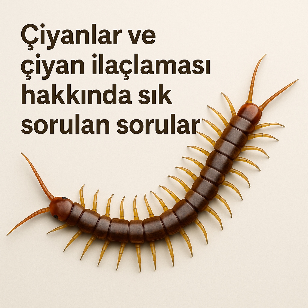 Çiyani İlaçları ve Çiyan İlaçlaması Hakkında Sıkça Sorulan Sorular ve Cevapları