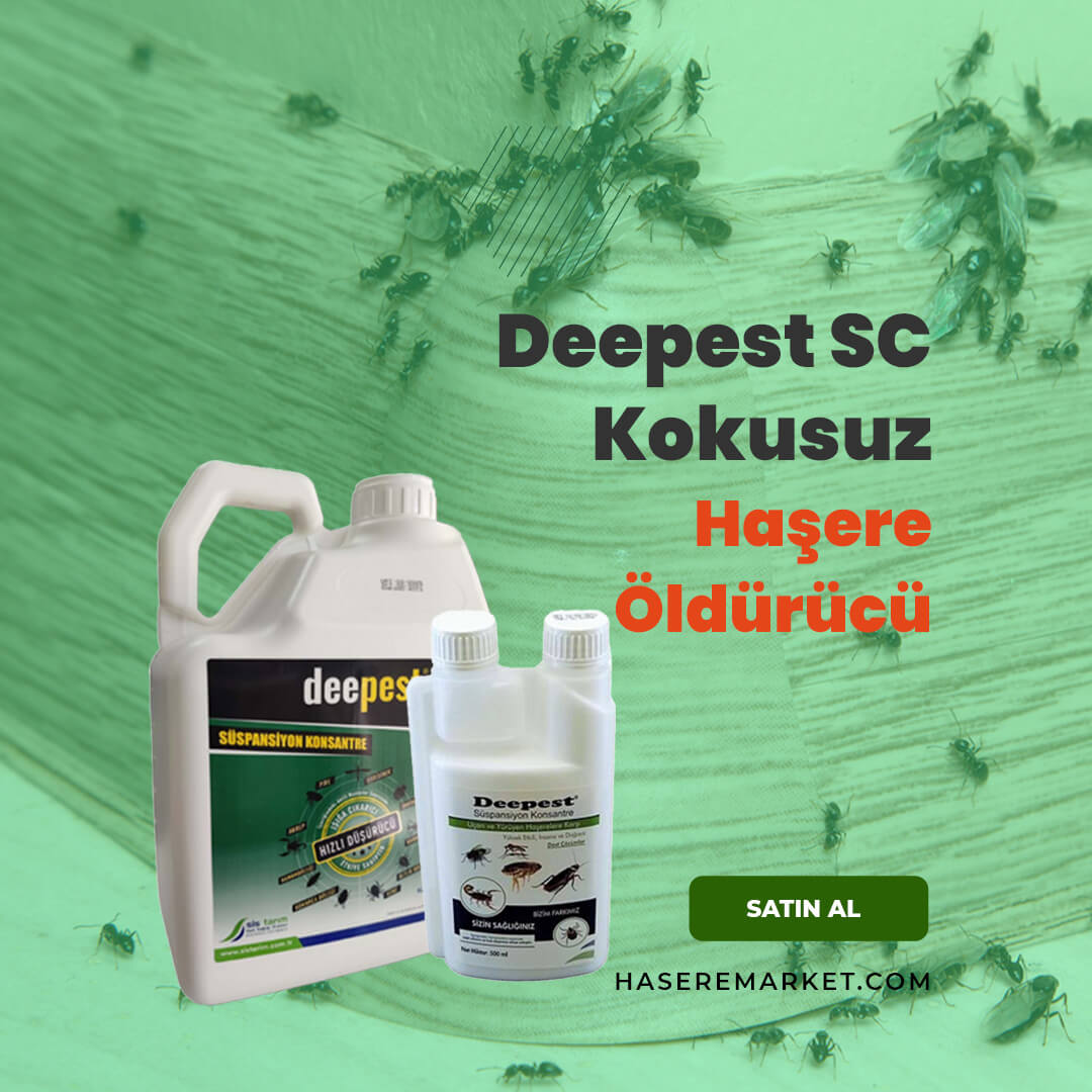 Deepest SC Kokusuz Haşere Öldürücü: Etkili Koruma