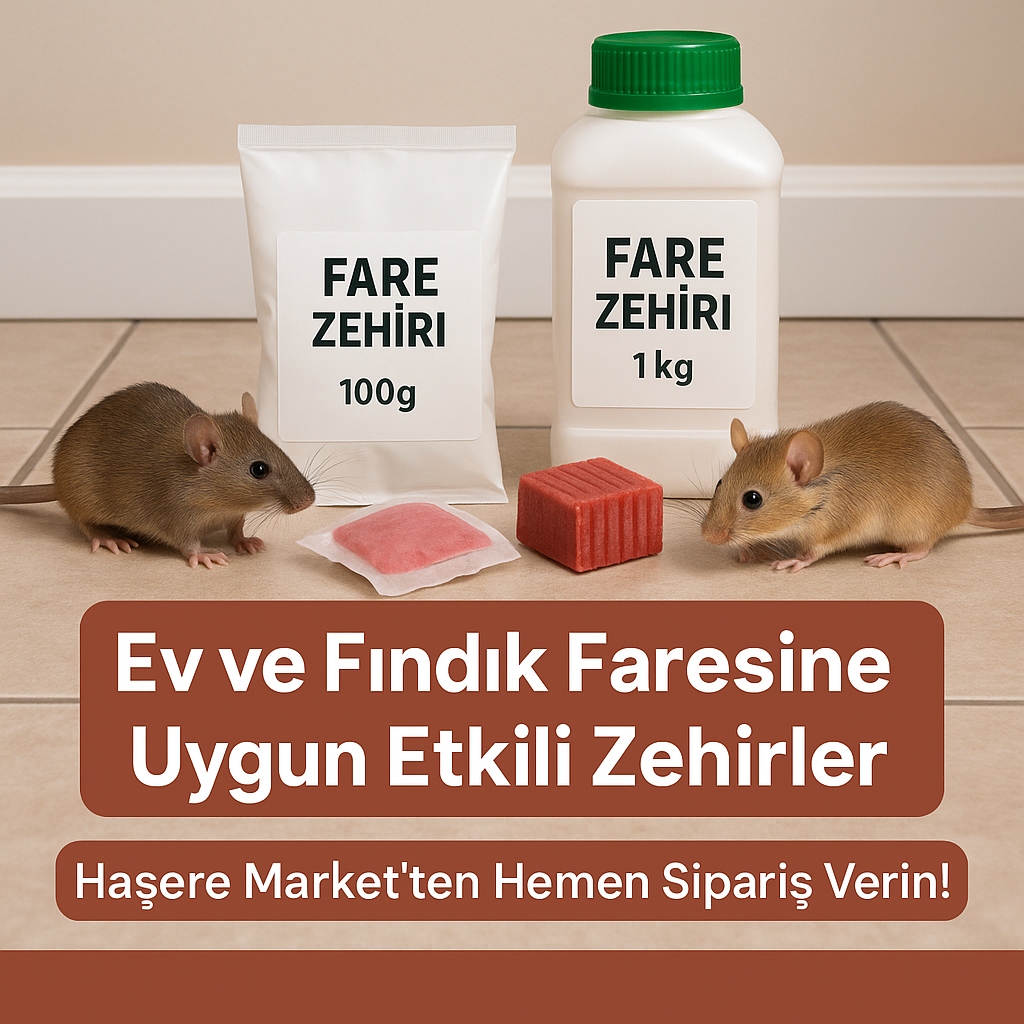 Ev ve Fındık Fareleri İçin En Etkili Fare Zehirleri: Çeşitler, Kullanım Bilgileri, Çözüm Önerileri