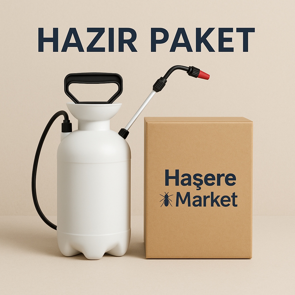Hazır Paketlerin Size Sağladığı Avantajlar