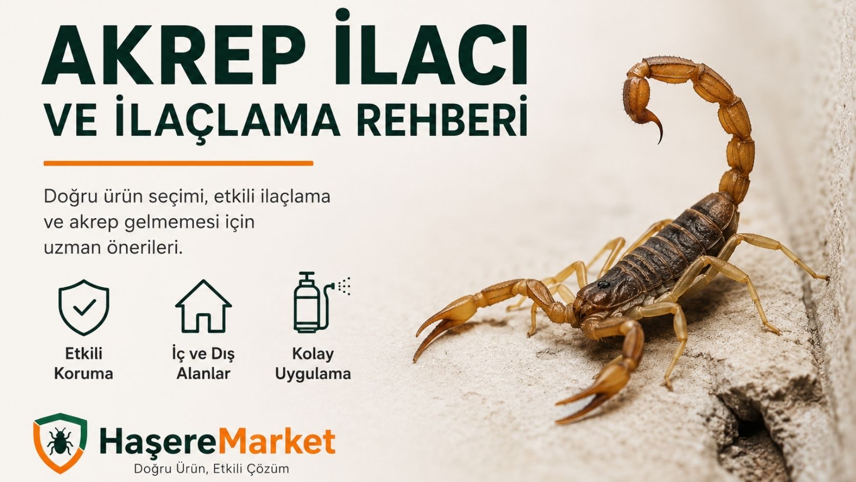 Akrep İlacı ve Akrep İlaçlama Rehberi