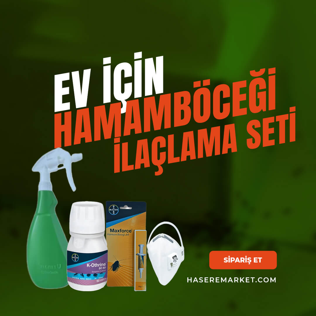 Evde Hamamböceği Sorununa Son!