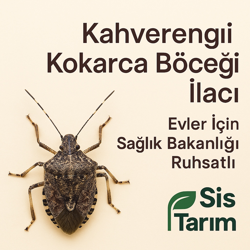 Kahverengi Kokarca Böceği İlacı | Evler İçin Sağlık Bakanlığı Ruhsatlı | Sis Tarım dan