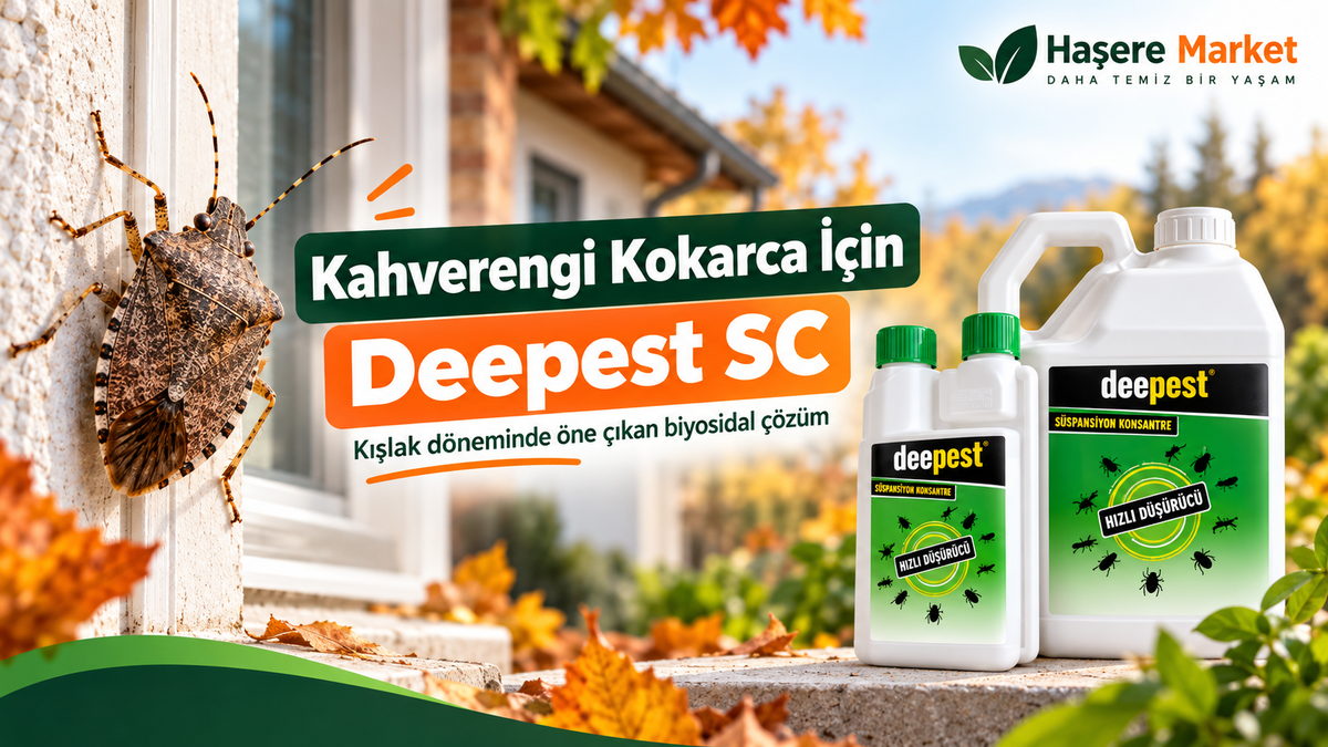 Kahverengi Kokarca İstilası 2026: Deepest SC Kokarca İlacı
