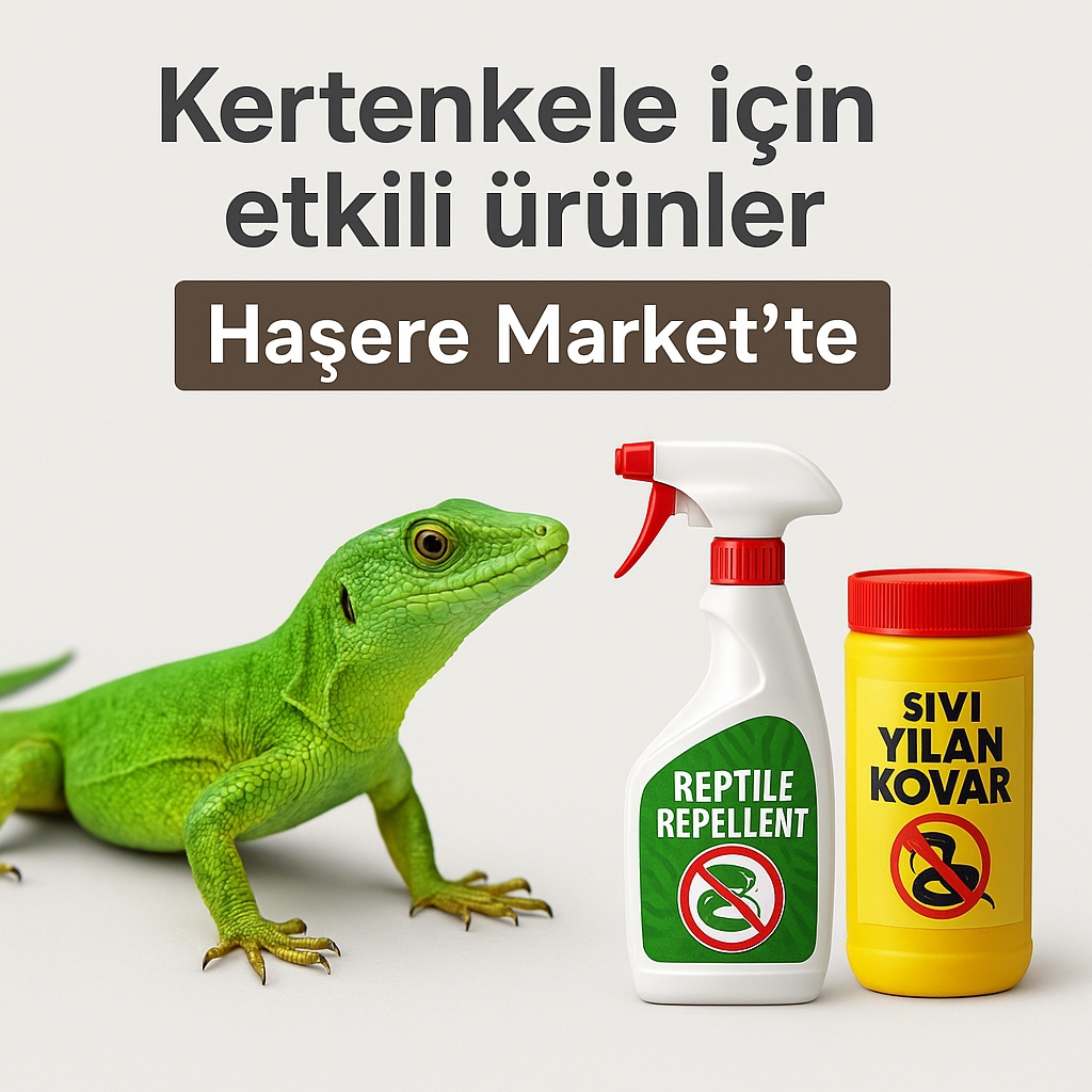 Kertenkele Sorunlarınız İçin Kesin Çözüm Ürünler Haşere Market te