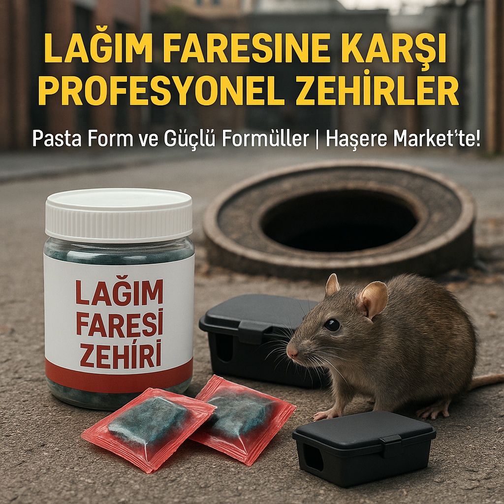 Lağım Faresi Zehirleri: En İyi Markalar ve Çeşitler - Haşere Market