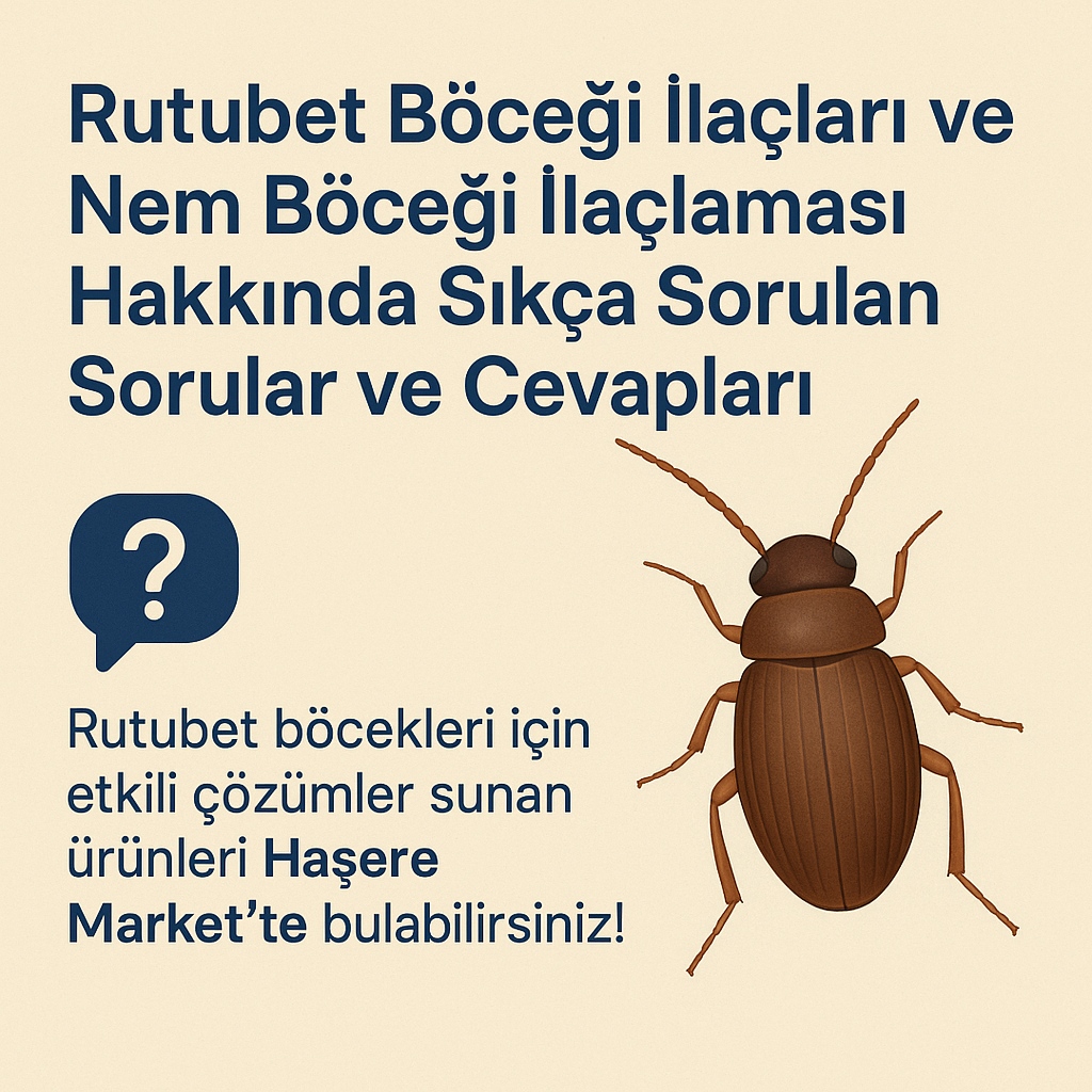 Rutubet Böceği İlaçları ve Nem Böceği İlaçlaması Hakkında Sıkça Sorulan Sorular ve Cevapları