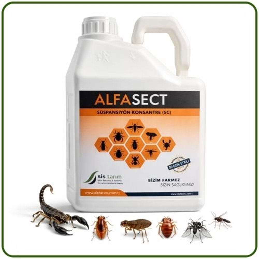 Alfa Sect SC Kokusuz Haşere Öldürücü | 500 ml