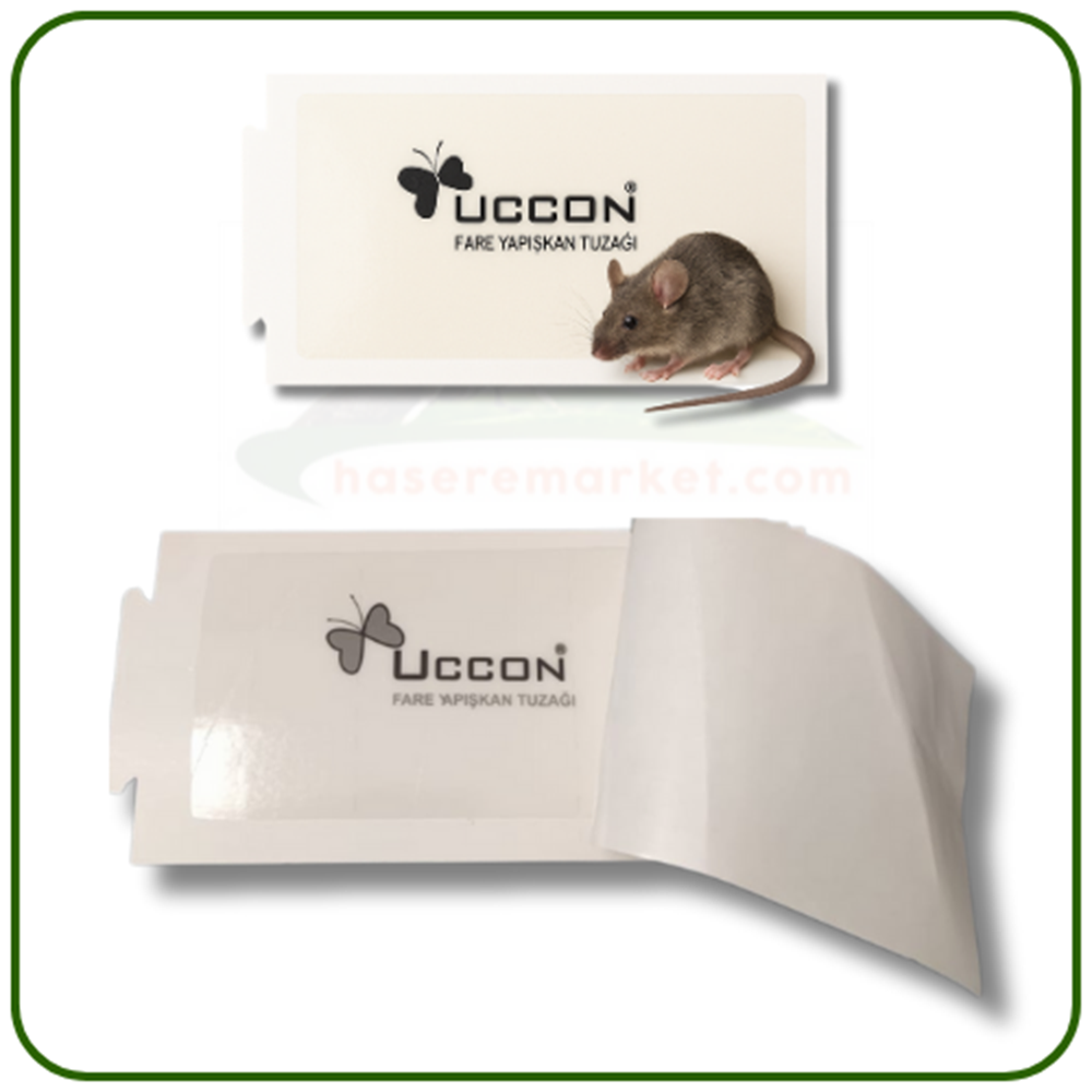 Uccon Karton Fare Yapışkan Tuzakları