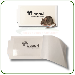 Uccon Karton Fare Yapışkan Tuzakları