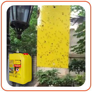 Bytrap Tuta-tut Sinekler İçin Yapışkan Tuzak | 5 Litre