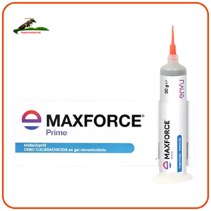 Ev İçin Hamamböceği İlaçlama Seti | Maxi