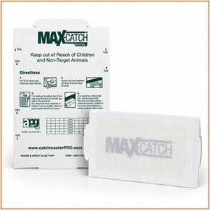 Max-catch Karton Fare Yapışkan Tuzakları
