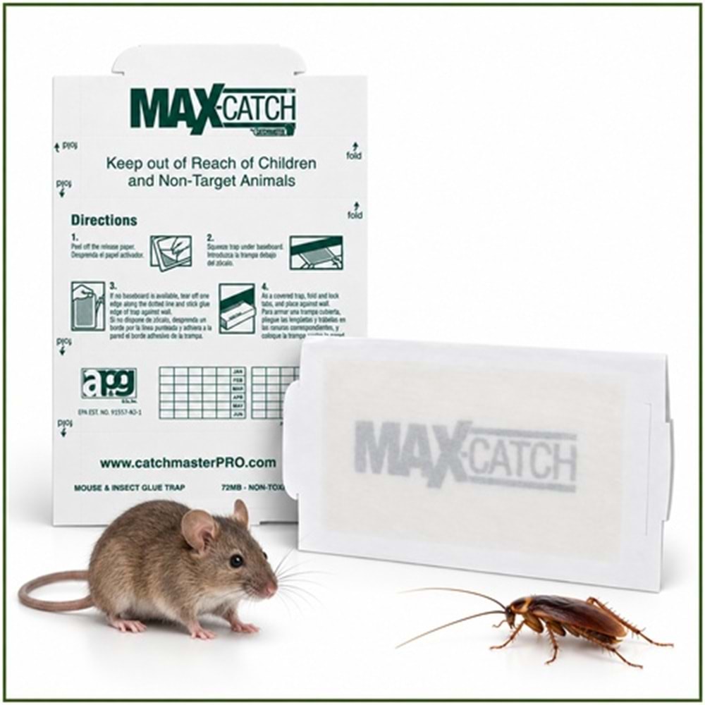 Max-catch Karton Fare Yapışkan Tuzakları