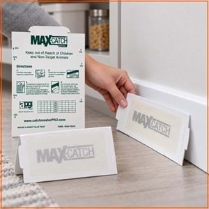 Max-catch Karton Fare Yapışkan Tuzakları
