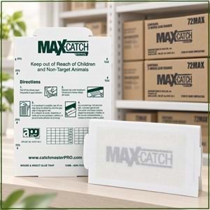 Max-catch Karton Fare Yapışkan Tuzakları