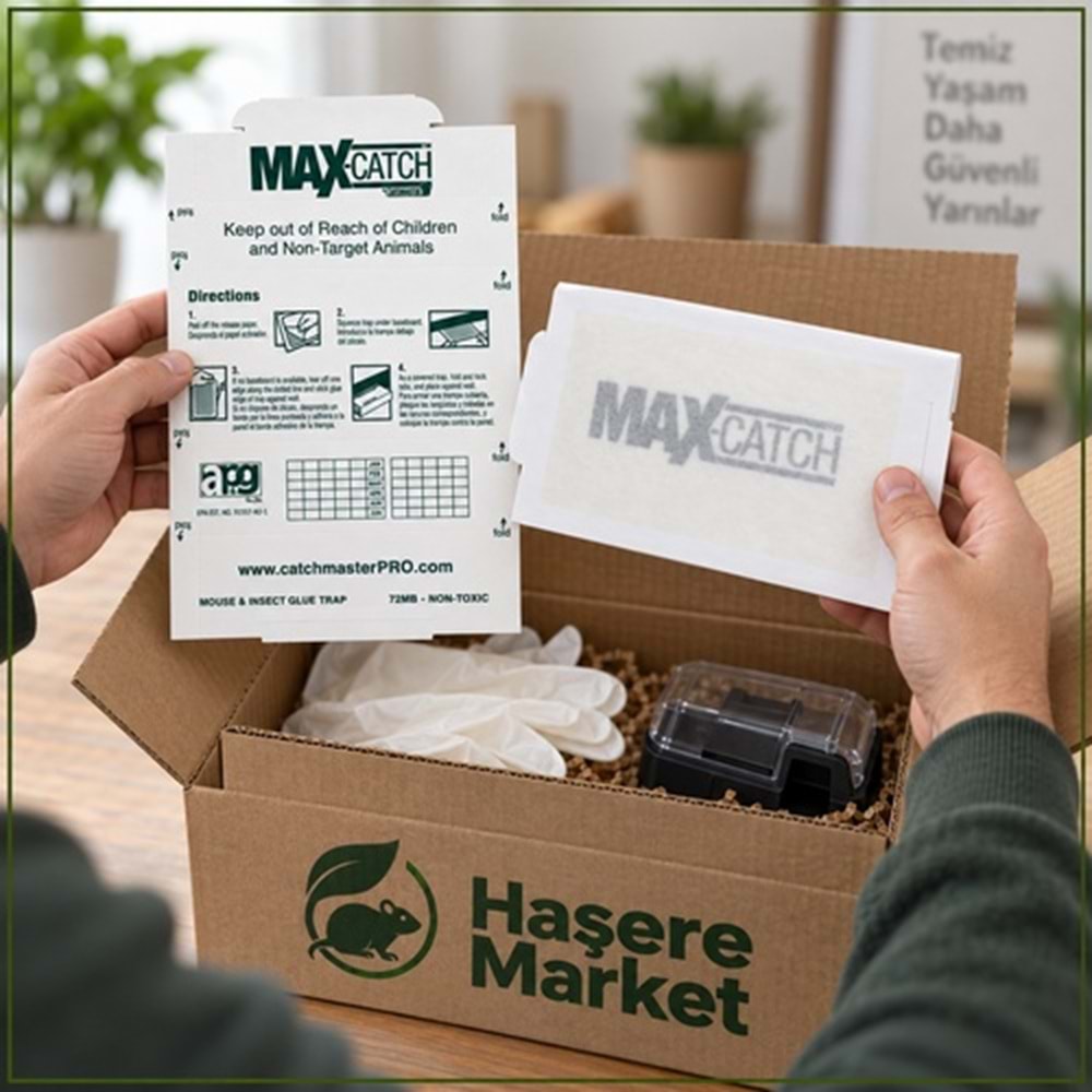 Max-catch Karton Fare Yapışkan Tuzakları