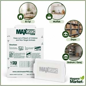 Max-catch Karton Fare Yapışkan Tuzakları