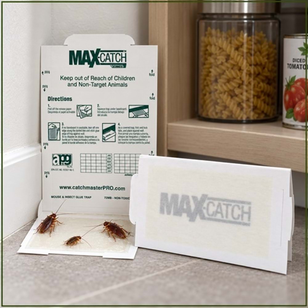 Max-catch Karton Fare Yapışkan Tuzakları